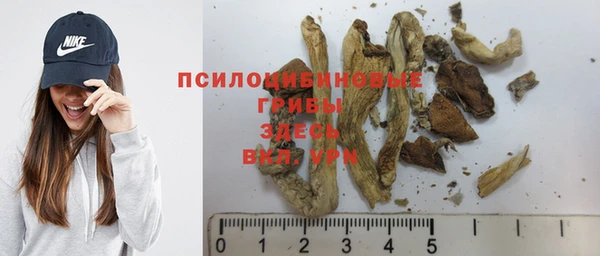 Альфа ПВП Белокуриха