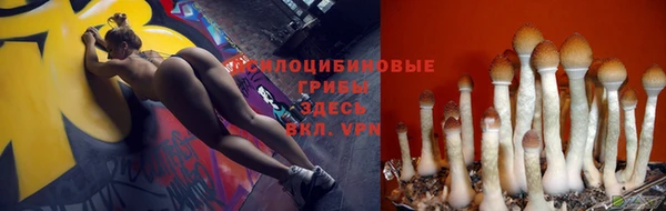Альфа ПВП Белокуриха