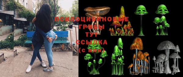 Альфа ПВП Белокуриха