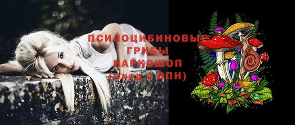 спиды Беломорск
