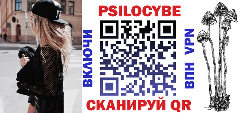 Псилоцибиновые грибы Psilocybine cubensis  Купить где  Грайворон 